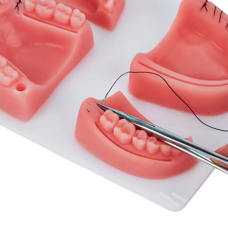 نموذج تدريبي لخياطة اللثة والج - مراجعة Medical Lab Kit وسعره